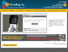 Tablet Screenshot of lgpconsulting.com